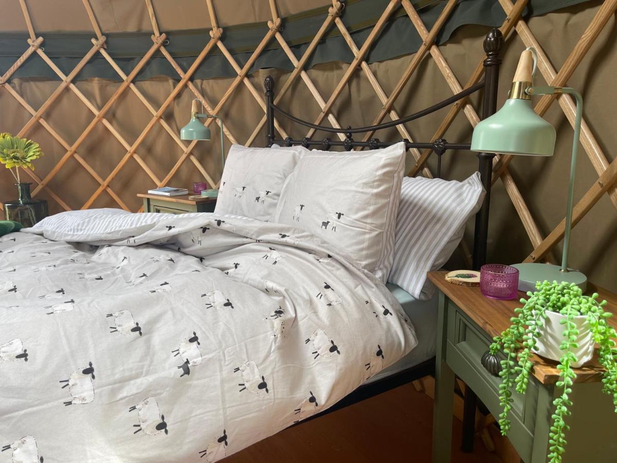 Thistlebank Yurt * Llangollen