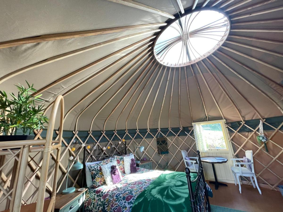 Thistlebank Yurt Luxury tent